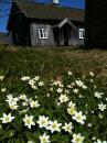 Askhults-by--Kulturreservat-i-Kungsbacka audioguide